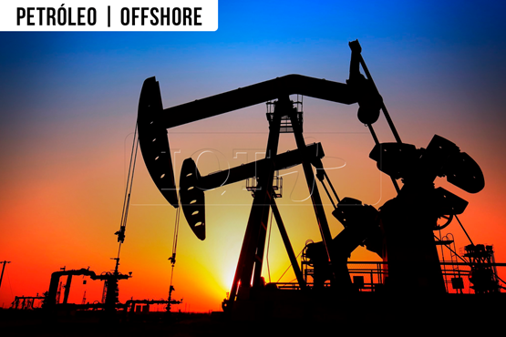 Elevação Artificial e Escoamento em Poços de Petróleo